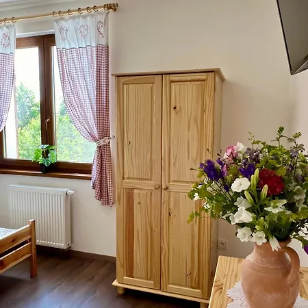 Nad Rybnikem 乡村民宿 斯塔斯科夫